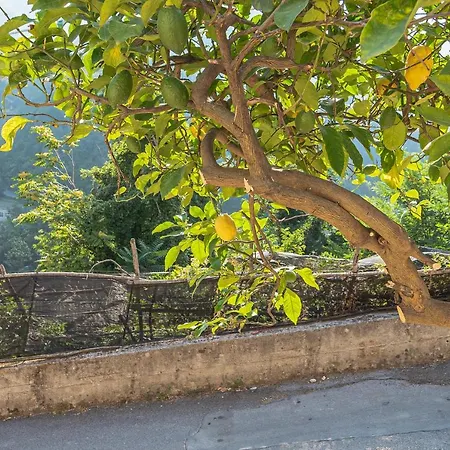 Tra Sole E Limoni Lägenhet